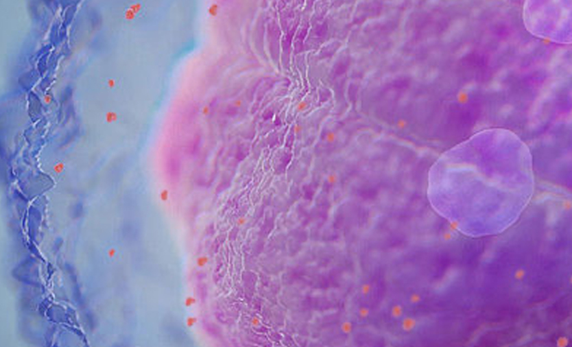 Blood Cell