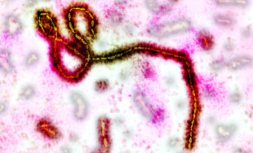 ebola image