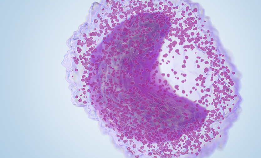 IG_CustomerProfile_Cells_834x506_V1 customer profile image