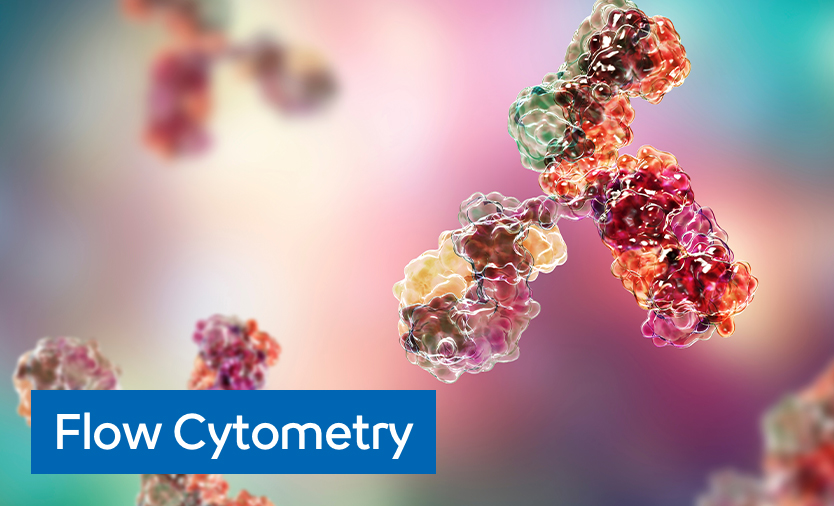 flow cytometry image