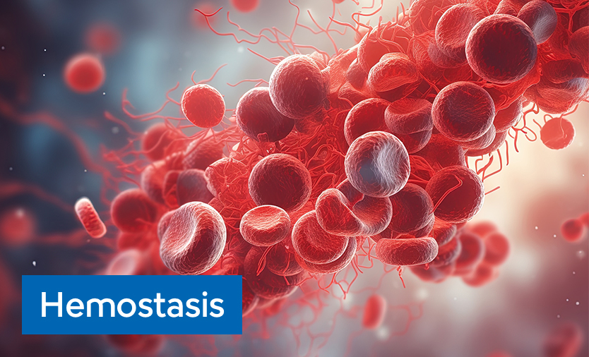 Hemostasis image