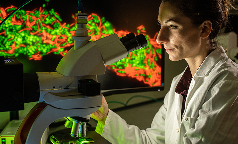 Vermicon_scope_834x506_V1 Vermicon Microscope