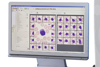 cell images on a monitor
