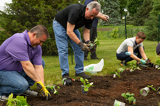 CorpSocialResponsibility_Greenteam_320x213_V1 Sysmex Green team