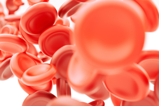 Blood cells