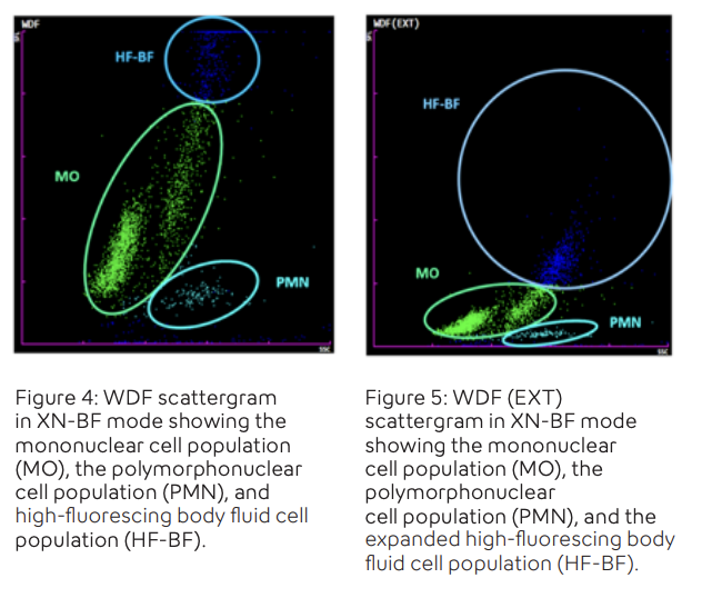 Automated Body Fluid Analysis for Increased Efficiency - Image 5