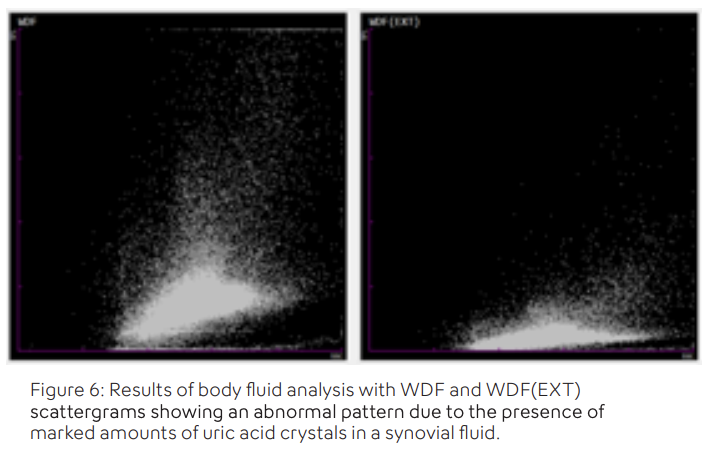 Automated Body Fluid Analysis for Increased Efficiency - Image 7