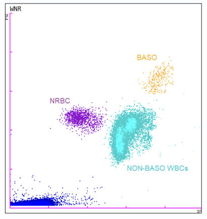 Automated NRBC counts with every result- image #1