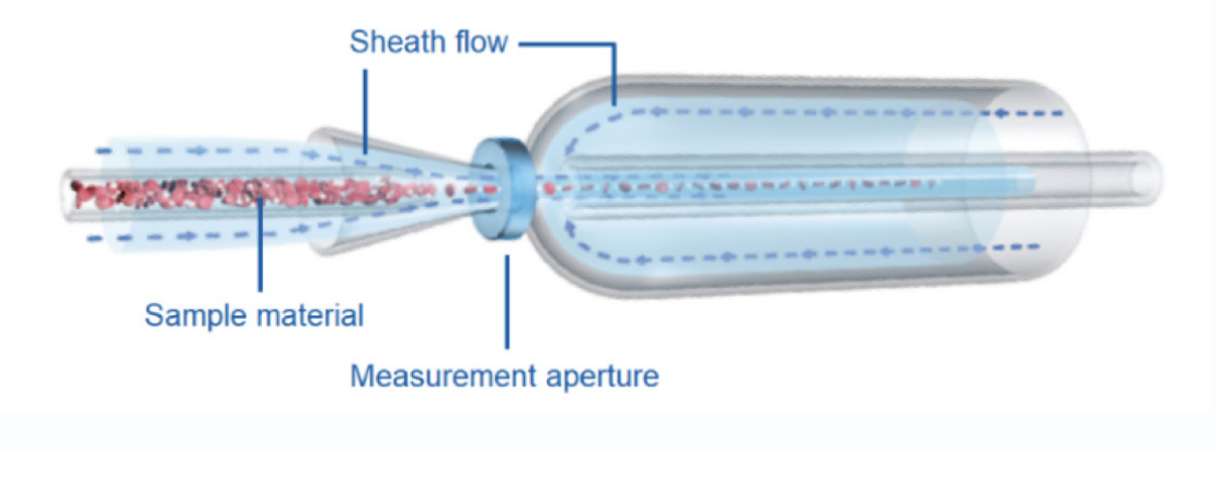 Automated NRBC counts with every result -image #2