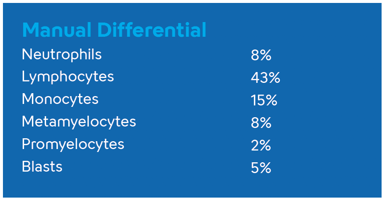 Hematology-Hight WBC Count with Blasts- Image #2