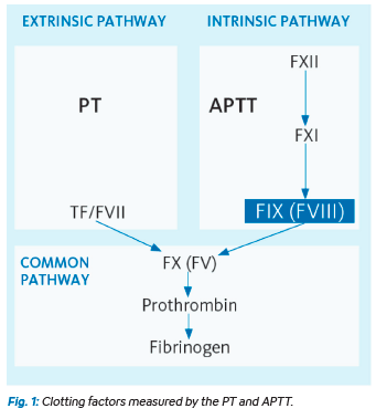 Hemostasis-Laboratory Testing of Hemophilia Image 2