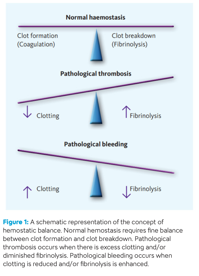 Hemostasis - Principals of Hemostasis Part II - Image-1