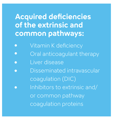 Hemostasis - Prothrombin Time - Image-2