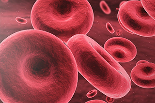 Blood Cells
