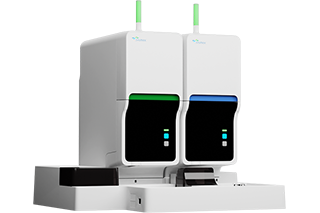 XN-2000