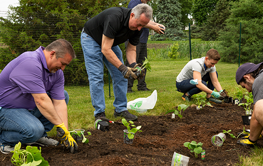 Green team planting