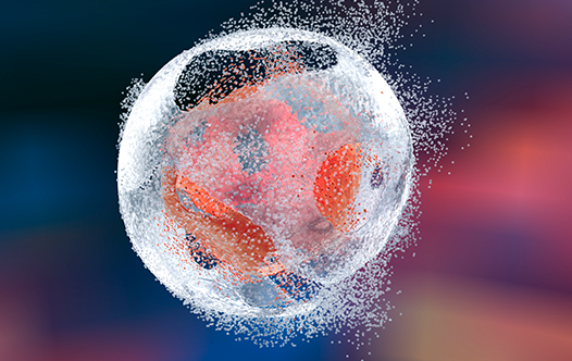 FlowCytometry_Reagents_526x332_v2jpg reagents
