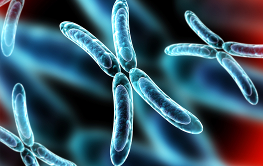 FlowCytometryApplications__DNA_526x332_V1 DNA