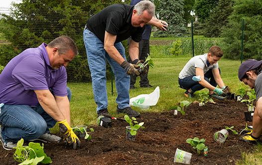 Green team planting