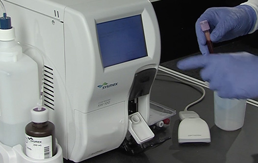 XW-100 processing samples