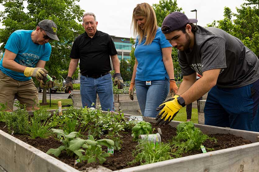 Green team planting