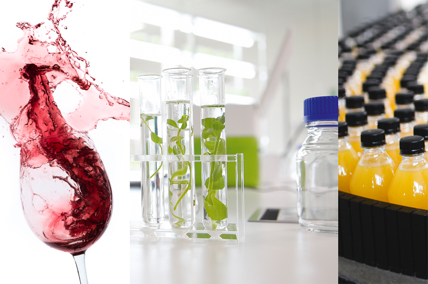 FlowCytometryApplications_Wine-Plants_834x553_V1 FLOW applications plant juice wine